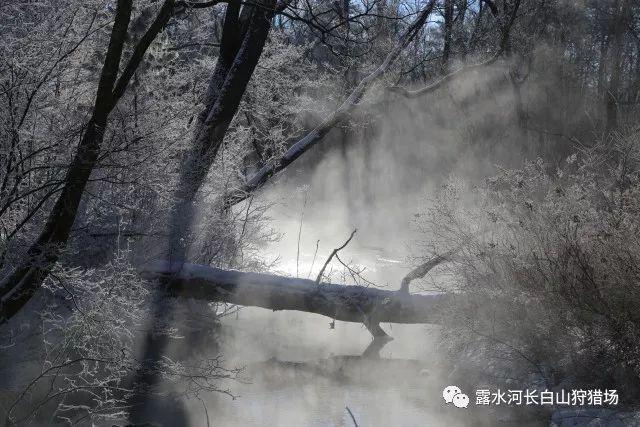 禹城精细气象服务助力科学供暖